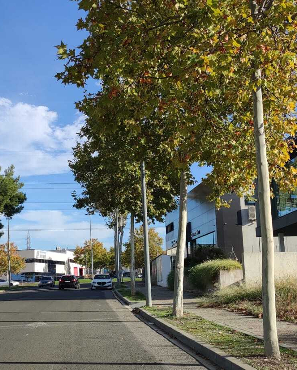 CAT-SI – A qui va dirigida